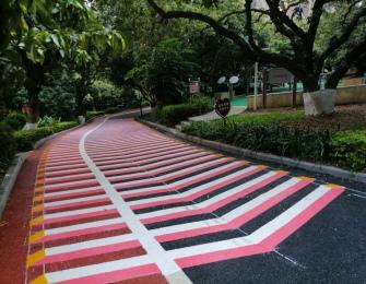 樟樹(shù)布公園劃線工程